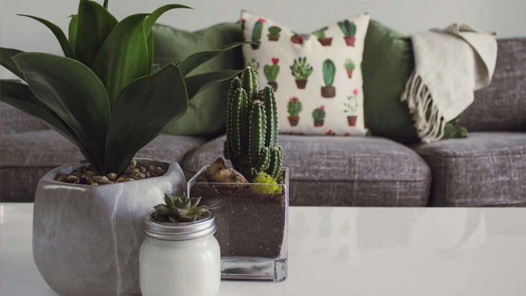 Add Greenery for your budget decorating Ideas.